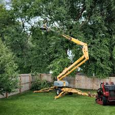 Best Emergency Tree Removal  in Pittsburgh, PA